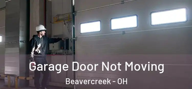 Garage Door Not Moving Beavercreek - OH